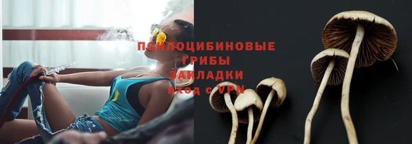 ALPHA-PVP Бородино