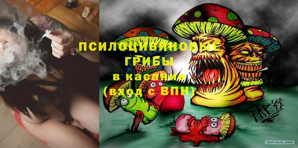 ALPHA-PVP Бородино