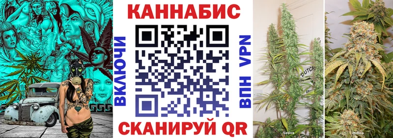 где продают   Фёдоровский  Бошки Шишки SATIVA & INDICA 
